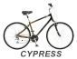 Cypress_Thumb