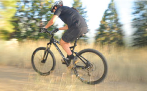 Giant Bike